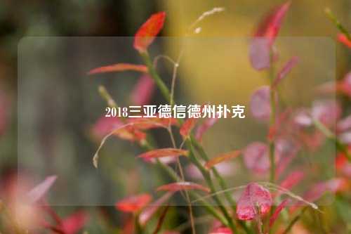 2018三亚德信德州扑克
