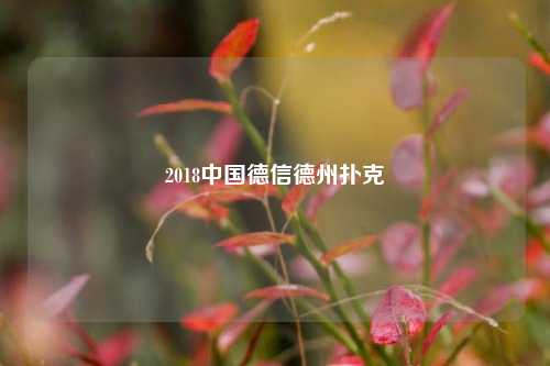 2018中国德信德州扑克