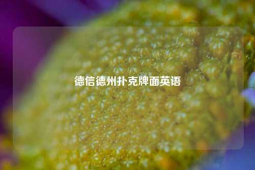 德信德州扑克牌面英语