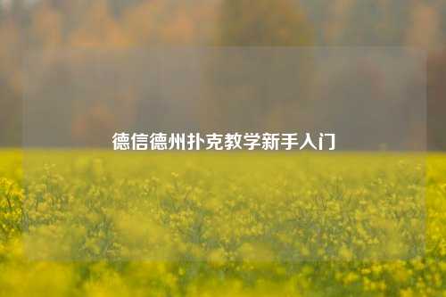 德信德州扑克教学新手入门