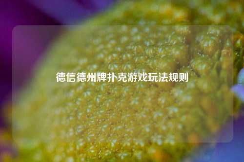 德信德州牌扑克游戏玩法规则