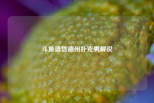 斗鱼德信德州扑克男解说